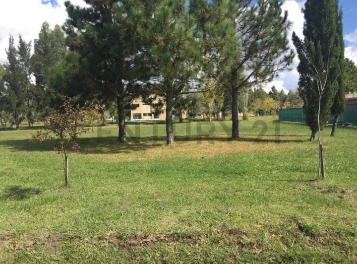 Lote en Venta en Miralagos I – 1143 m² | Ruta 2 Km 65 - 4
