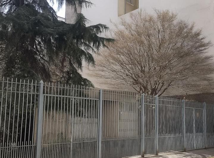 Terreno en Venta en San Telmo con Anteproyecto Aprobado - 2