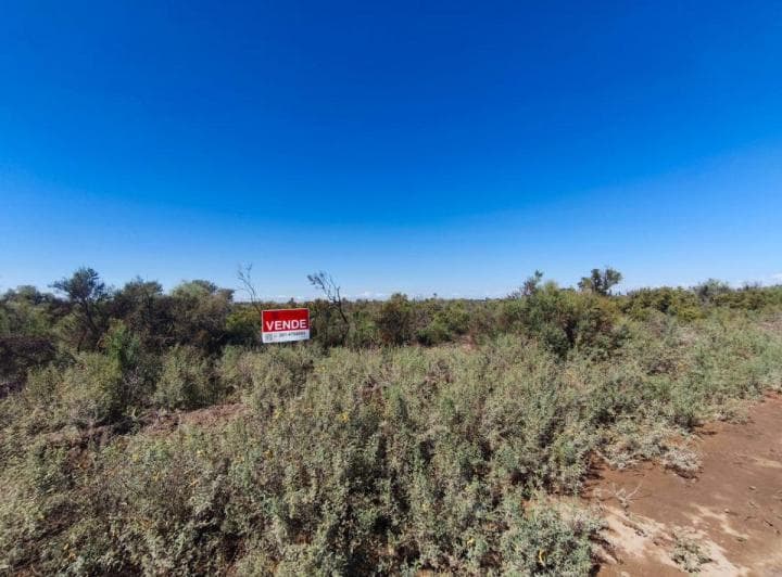 102 Ha en La Palmera, Lavalle - Sobre Asfalto y con Factibilidad de Pozo - Ubicación Estratégica - 3