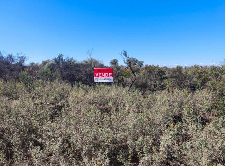 102 Ha en La Palmera, Lavalle - Sobre Asfalto y con Factibilidad de Pozo - Ubicación Estratégica - 2