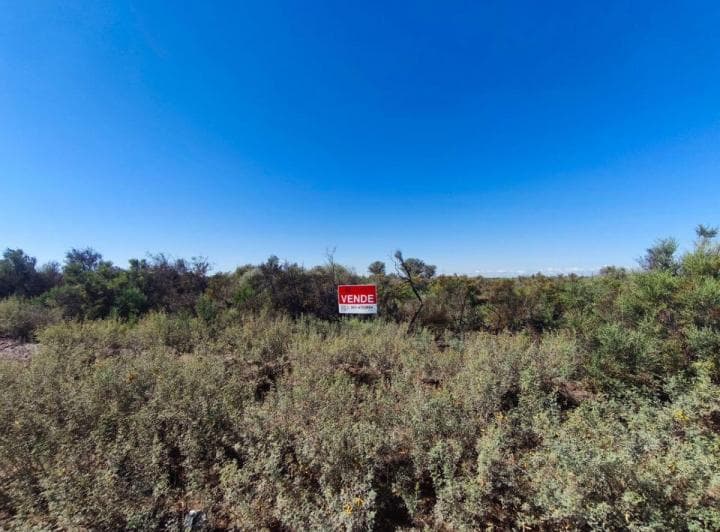 102 Ha en La Palmera, Lavalle - Sobre Asfalto y con Factibilidad de Pozo - Ubicación Estratégica - 4