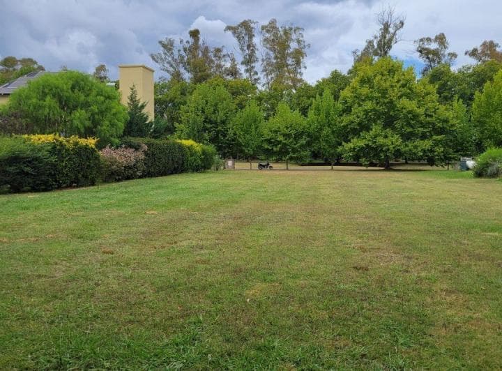 Lote en Venta Haras San Pablo a Fondo Libre Forestado - 3