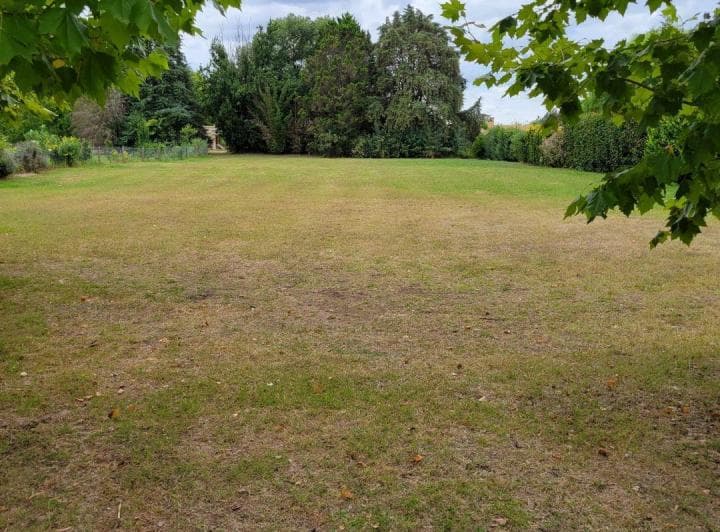 Lote en Venta Haras San Pablo a Fondo Libre Forestado - 4