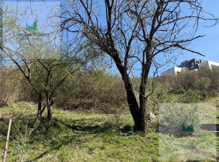 Terreno en Venta Estancia Q2 - 5