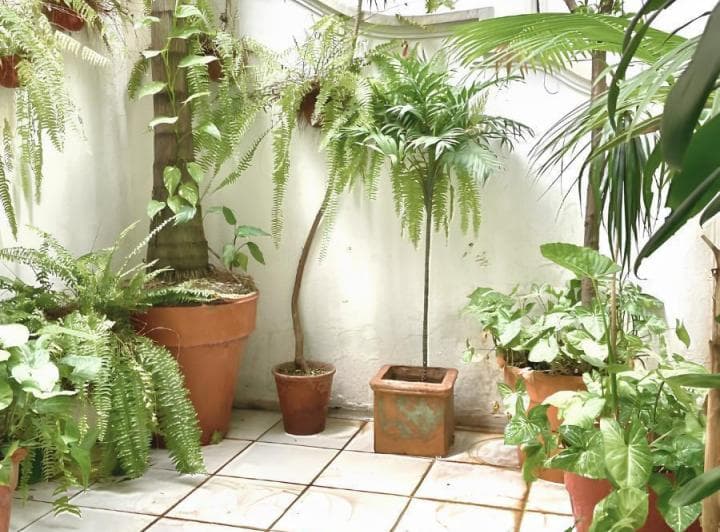 Alquiler de Departamento 4 Ambientes con 2 Terrazas Propias Excelente Estado en Recoleta - 5