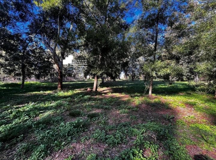 Lote en Venta Frente a La Laguna de Chascomus - 5