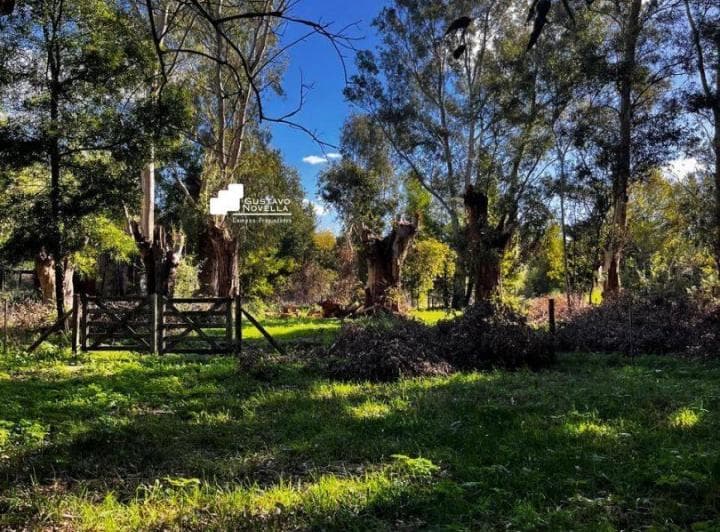 Lote en Venta Frente a La Laguna de Chascomus - 2