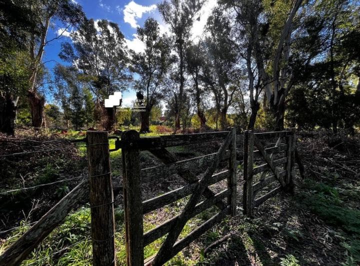 Lote en Venta Frente a La Laguna de Chascomus - 4