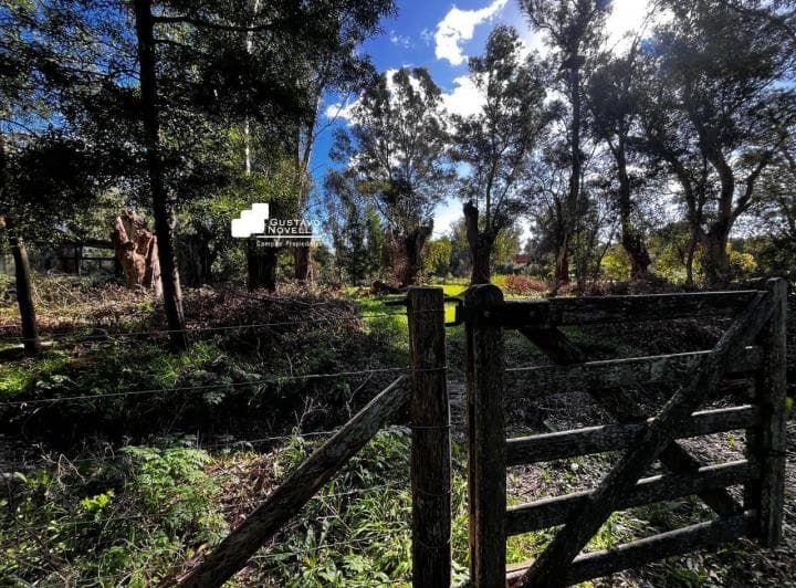 Lote en Venta Frente a La Laguna de Chascomus - 3
