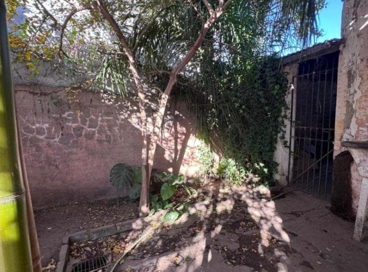 Amplia Propiedad con Parque y Arboleda, Cerca del Centro de Carmen de Areco. - 4