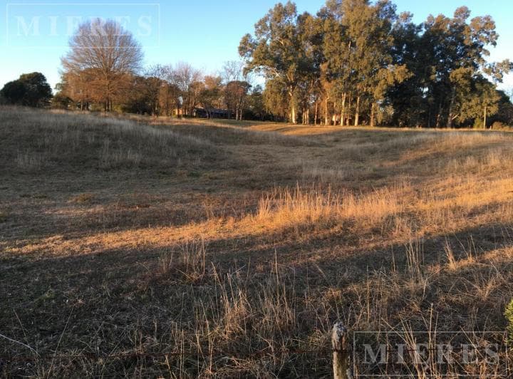 Terreno en Venta de 10.000 m² de La Carcova Esquina Constancia - 4