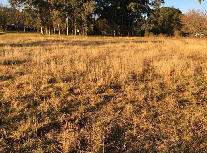Terreno en Venta de 10.000 m² de La Carcova Esquina Constancia - 2