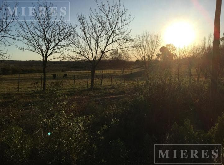 Terreno en Venta de 10.000 m² de La Carcova Esquina Constancia - 3