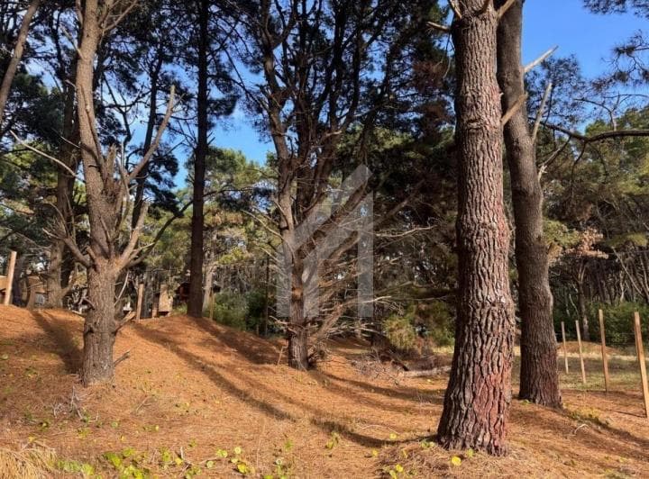 Terreno Lote en Venta en Costa del Este, Costa Atlántica, Buenos Aires - 3