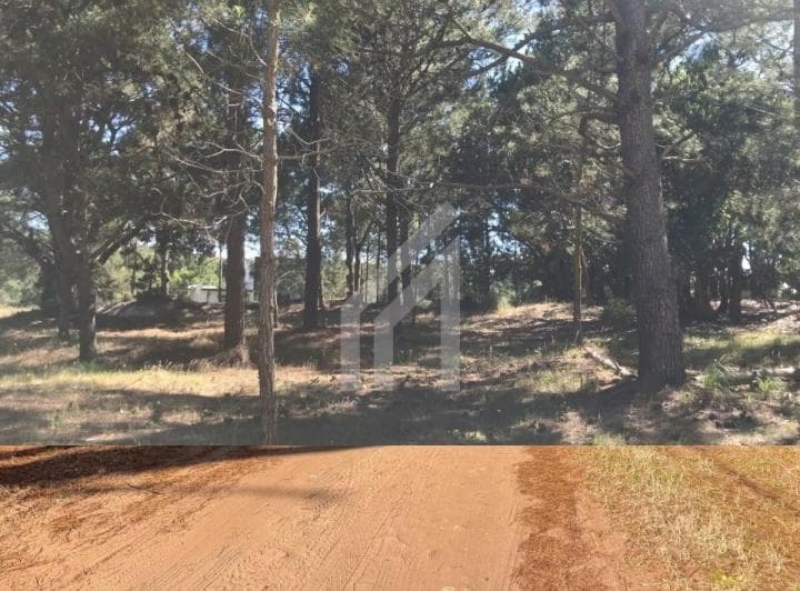 Terreno Lote en Venta en Costa del Este, Costa Atlántica, Buenos Aires - 5