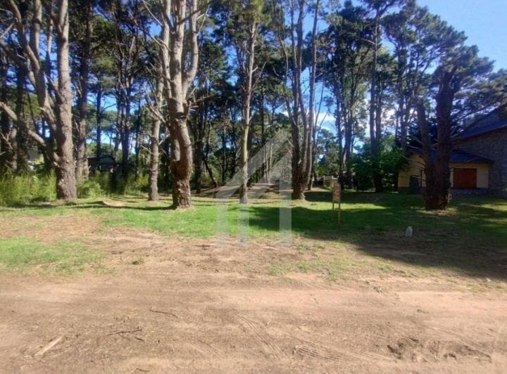 Terreno Lote en Venta en Costa del Este, Costa Atlántica, Buenos Aires - 2