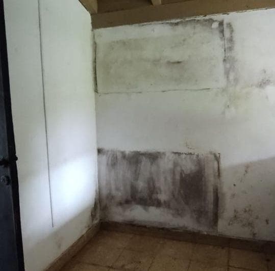Venta Casa con Garage y Lote de 380 m² a Pocas Cuadras de La Estación de Alejandro Korn - 5
