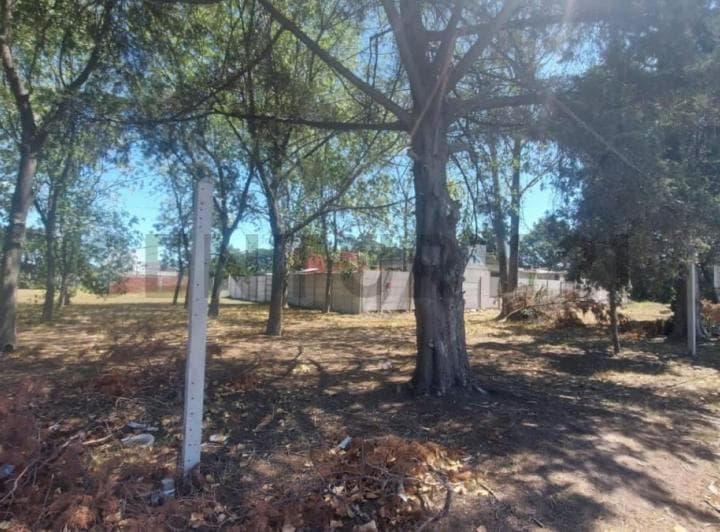 490 Entre 137 y 138, Terreno en Venta, Joaquin Gorina. - 4