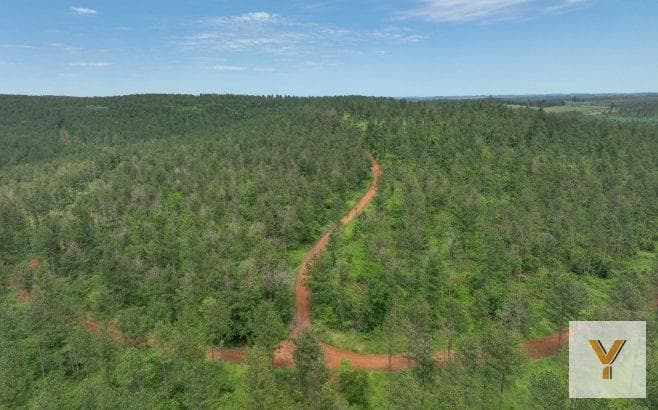 Campo en Venta - m - Misiones - 3