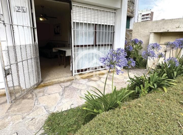 PH 3 Ambientes con Patio - Punta Mogotes - 4
