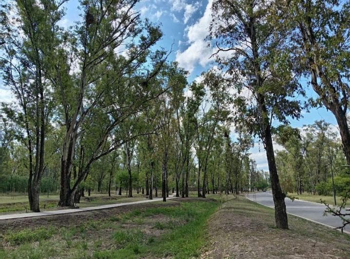 Terreno de 305 m² en Venta en Nuevo Malagueño Lote Esquina - 2