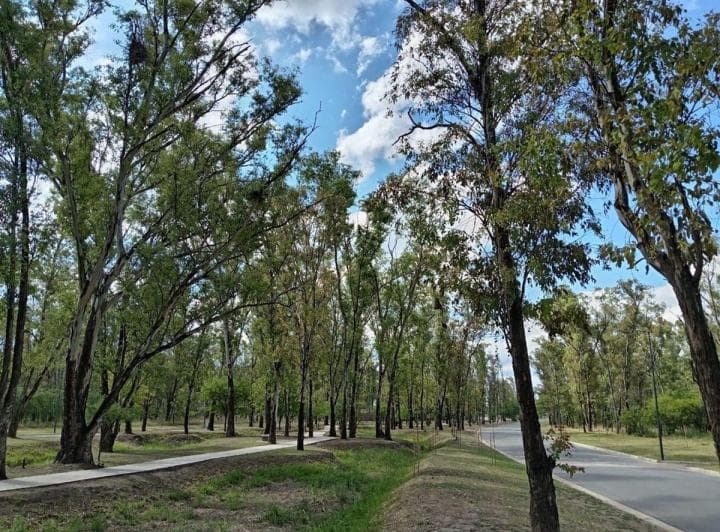 Terreno de 305 m² en Venta en Nuevo Malagueño Lote Esquina - 4