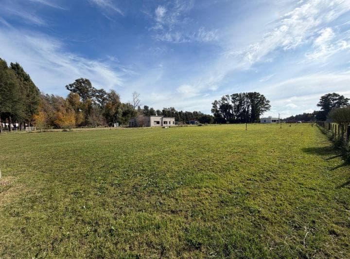 Lote de 3000 en Estancia Las Malvinas, Coronel Brandsen, Buenos Aires. - 5