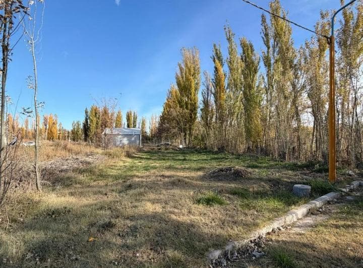 Terreno en Venta – Loteo Los Árboles, Centenario. - 3