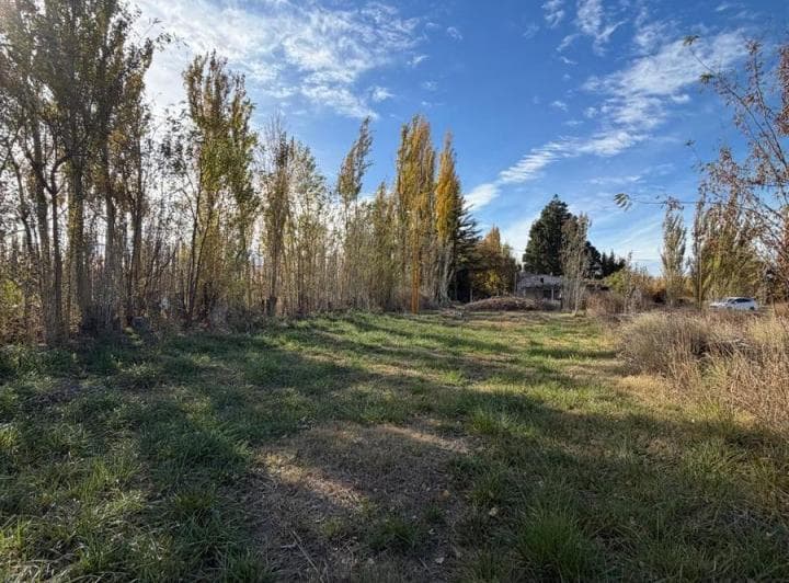 Terreno en Venta – Loteo Los Árboles, Centenario. - 2