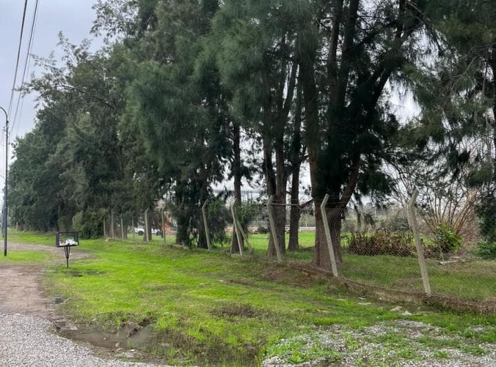 Terreno en Benavidez - 3