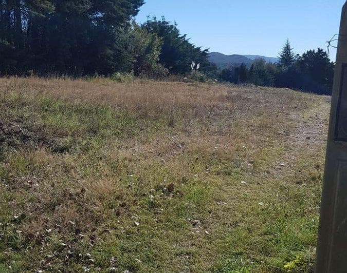 Venta – Lote 2.330 m² Sobre Ruta 39 | San Luis - 4