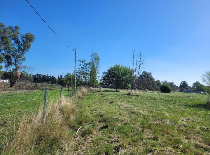 Campo en Venta Los Hornos Hectarea y 4000 m² - 5