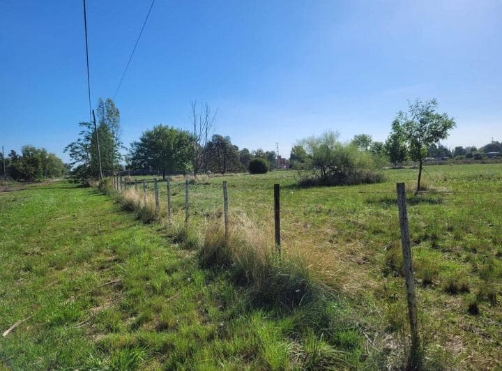 Campo en Venta Los Hornos Hectarea y 4000 m² - 3