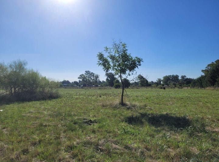 Campo en Venta Los Hornos Hectarea y 4000 m² - 4