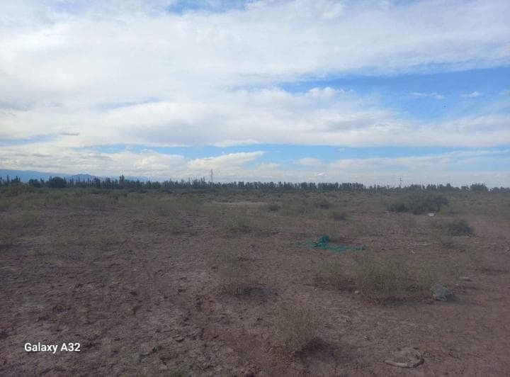 Venta de Lote en Lavalle, Distrito Chical - 5