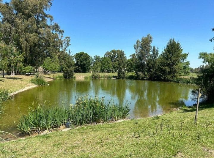 Lote Escriturado Bº El Metejón Cañuelas 1.094 m² - 4