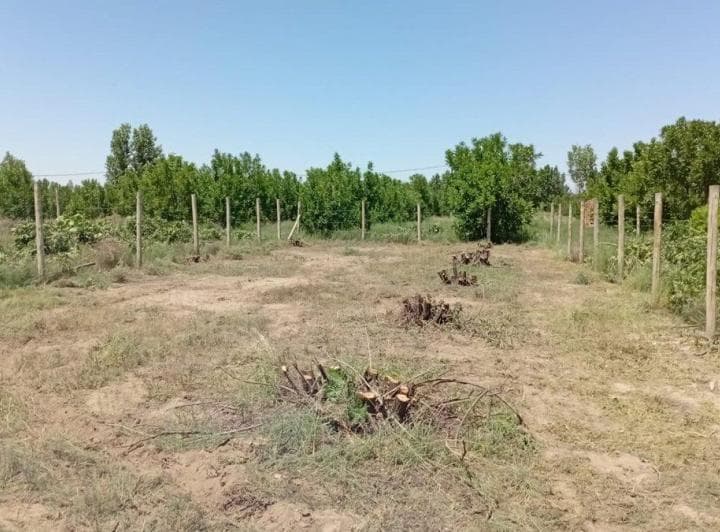 Venta Lote 400 m² Tupungato El Nogal Negro Rn 40 - 3
