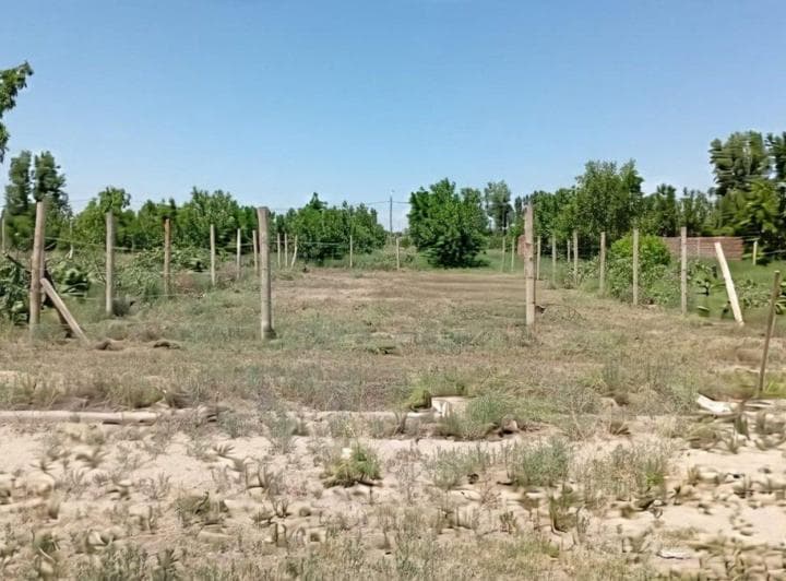 Venta Lote 400 m² Tupungato El Nogal Negro Rn 40 - 2