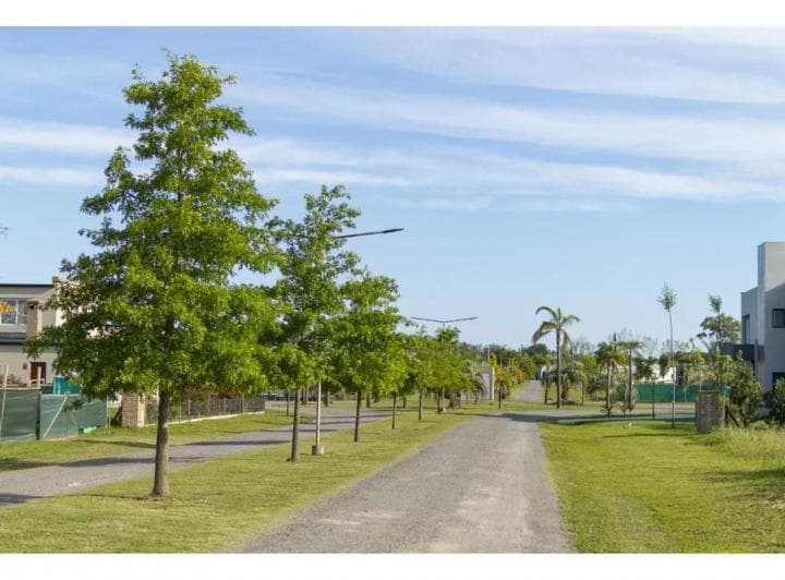 Venta Lote 1003 m² Los Juncos Lujan - 4