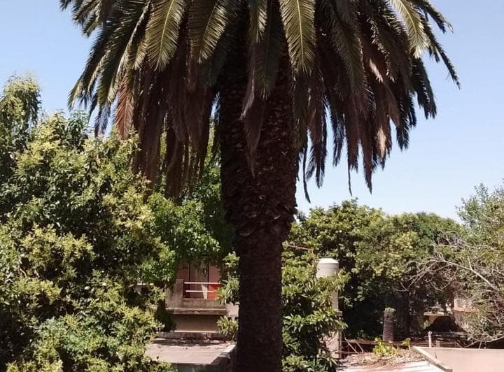 Venta Casa Ramos Mejía - 2