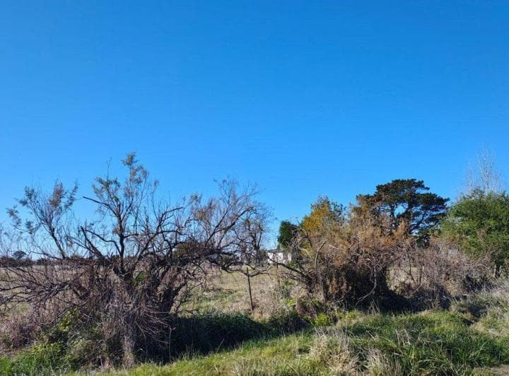 Lotes en Venta en Dolores - 2