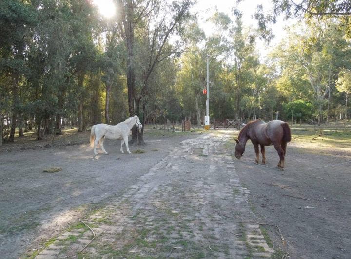 Lote en Chascomús Venta 1 Ha Casa a Reciclar - 5