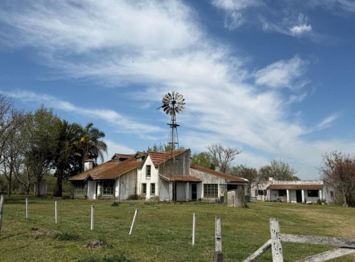 Campo en Alsina - 5