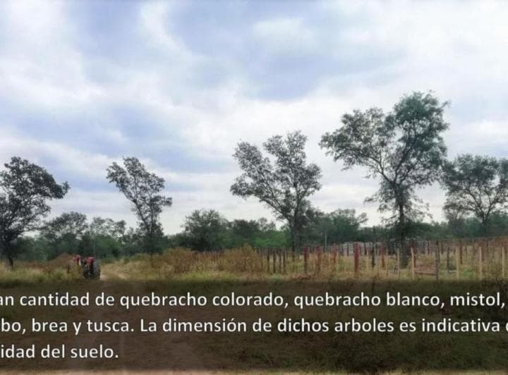 En Venta Campo en Clodomira - La Banda - Santiago del Estero - 4