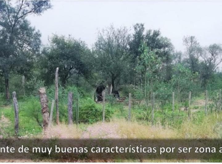 En Venta Campo en Clodomira - La Banda - Santiago del Estero - 3