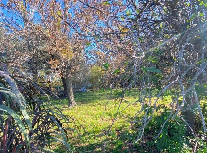 2 Lotes Contiguos en Venta en Oliveros - 4