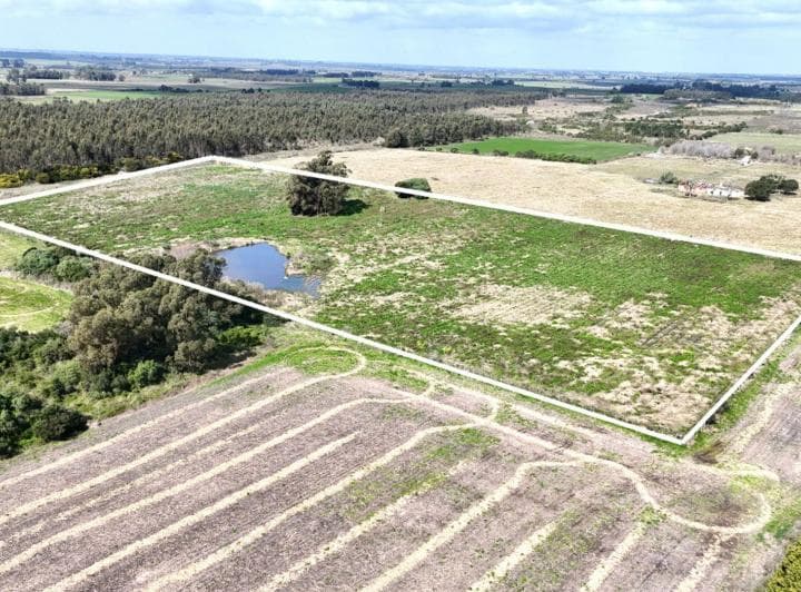 Vendo Campo Terreno 4,4 Hectáreas C Tajamar Sauce - 3