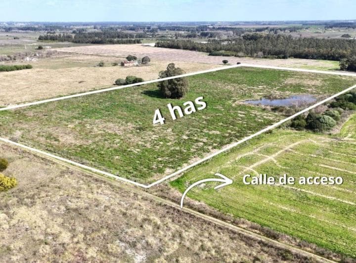 Vendo Campo Terreno 4,4 Hectáreas C Tajamar Sauce - 4