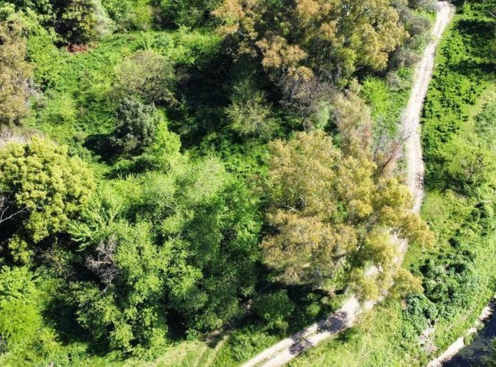 Venta de Lote La Lonja Pilar - 3