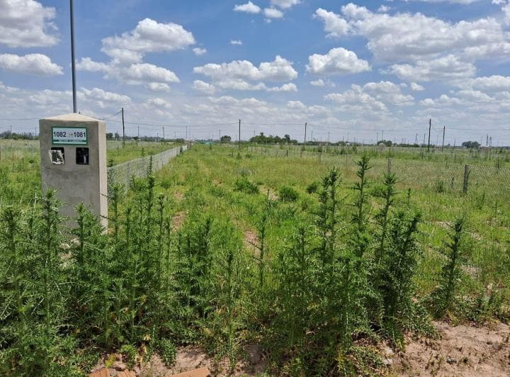 Venta Lote 300 m² en Reserva del Oeste - 3